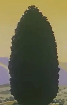Рода