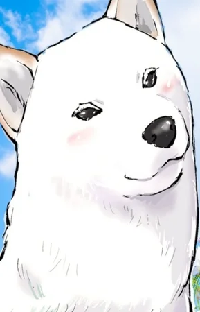 Shirayuki
