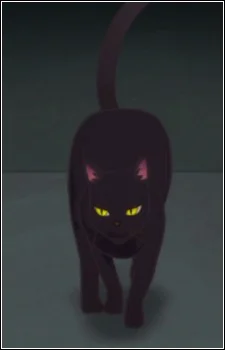 Кот