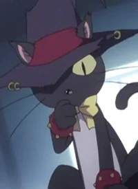 Чёрный кот