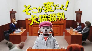 Soko ga Hen da yo! Inuneko Saiban