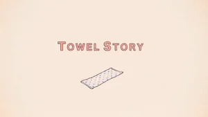 История полотенец